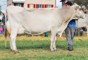 141004Altdorf 010